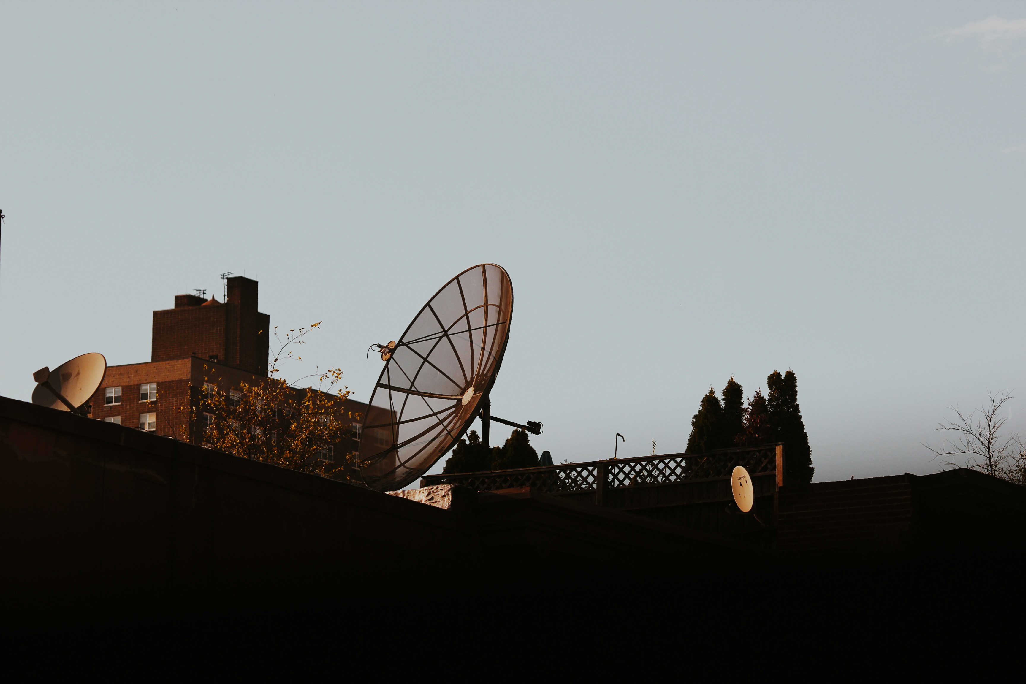 成功を収めたデイトレーダーが達成感に満ちた表情をしている様子