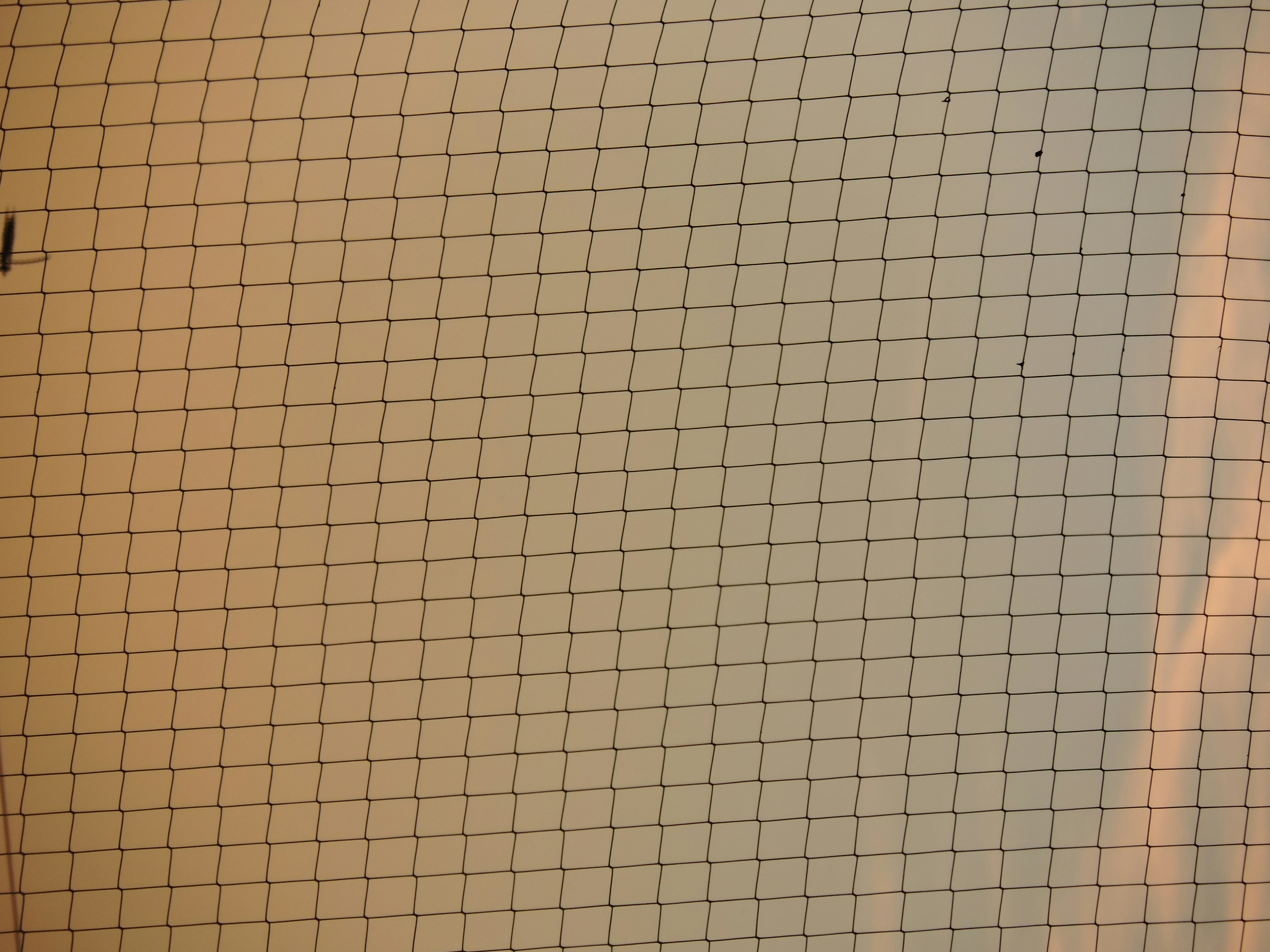 カフェのテーブルでスマホに表示されたチャートを見つめ、コーヒーを横に置いているシーン