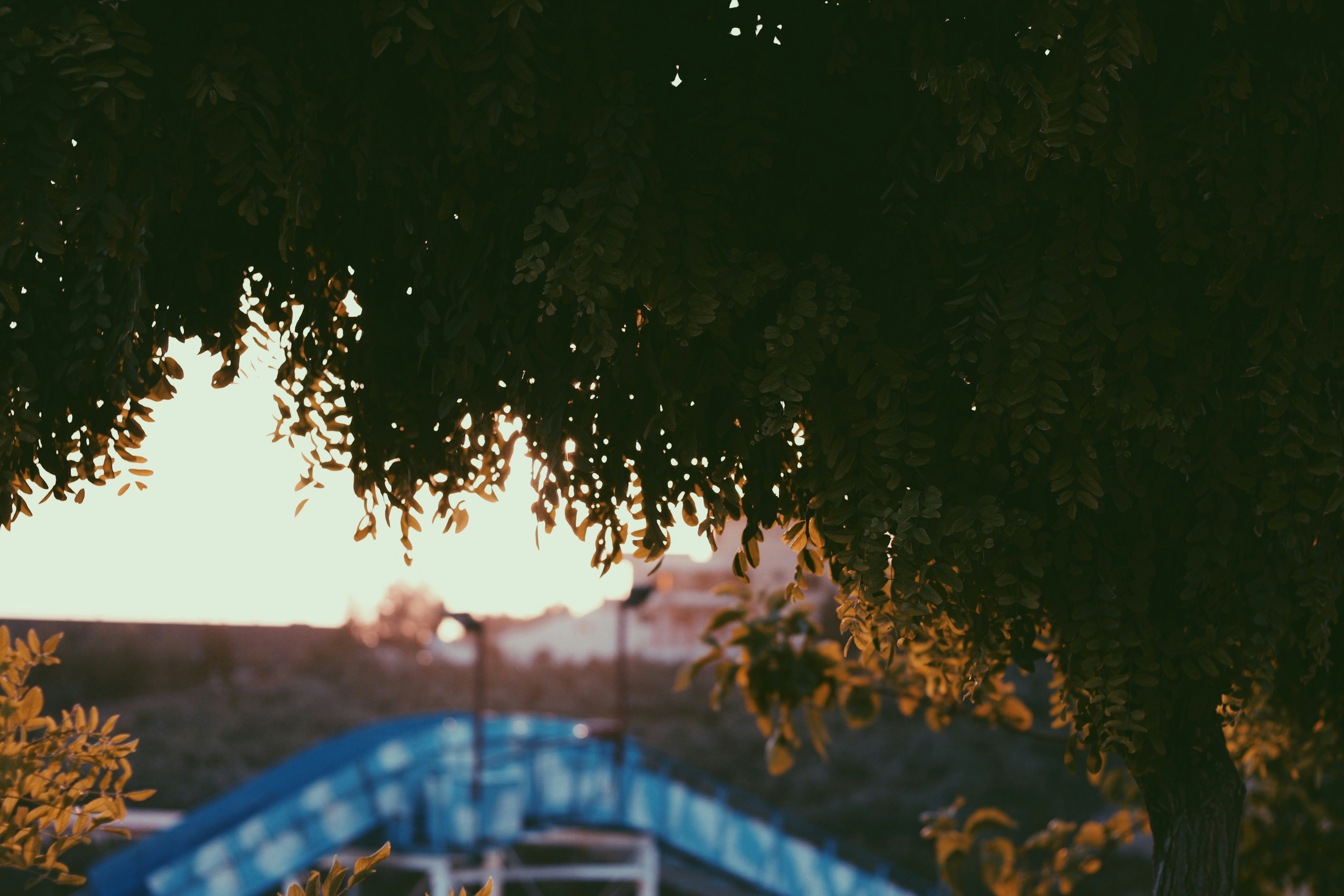 デイトレーダーが複数のモニターでチャートを監視している場面