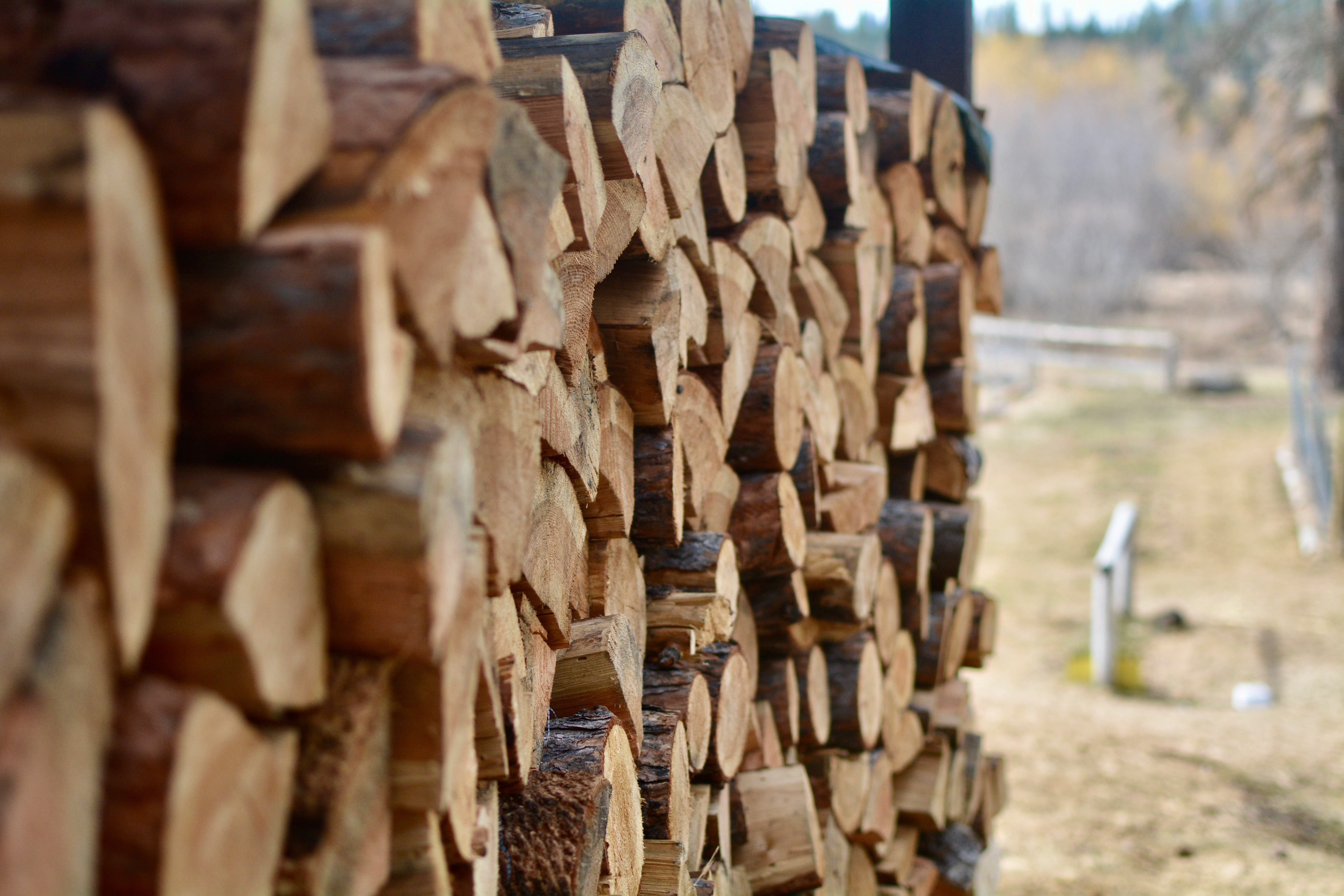 ノートにトレード記録と感情メモを書き込みながら振り返っているトレーダーの手元