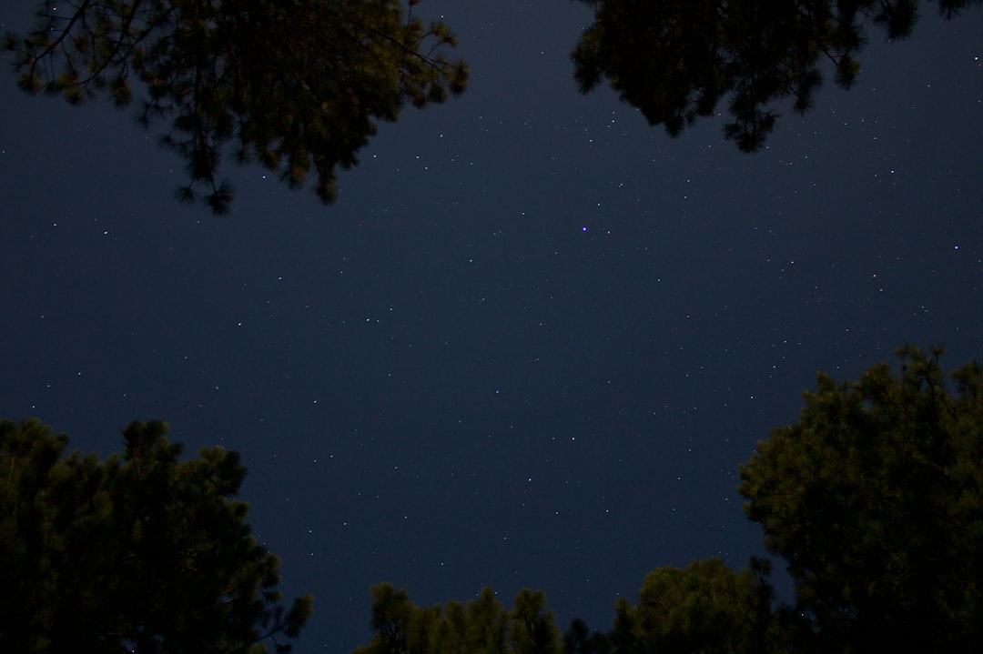 天秤のイラスト